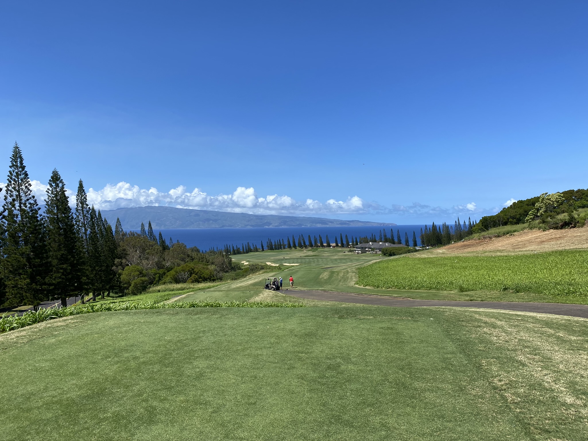 view from the tour tees at plantation course